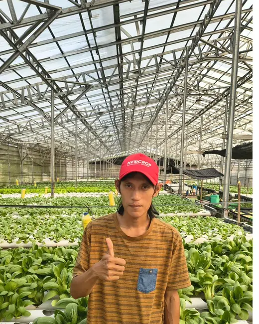 Anggota tim DD Farm berdiri di antara instalasi hidroponik